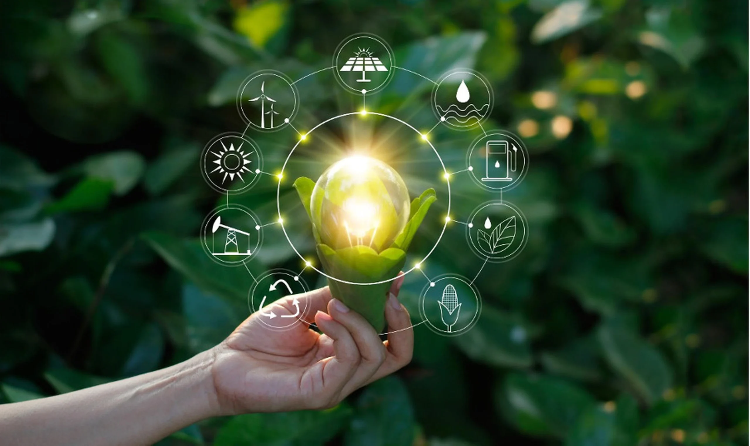 CÓMO USA PERÚ LA TECNOLOGÍA PARA LA PRESERVACIÓN DEL AMBIENTE Y COMERCIO