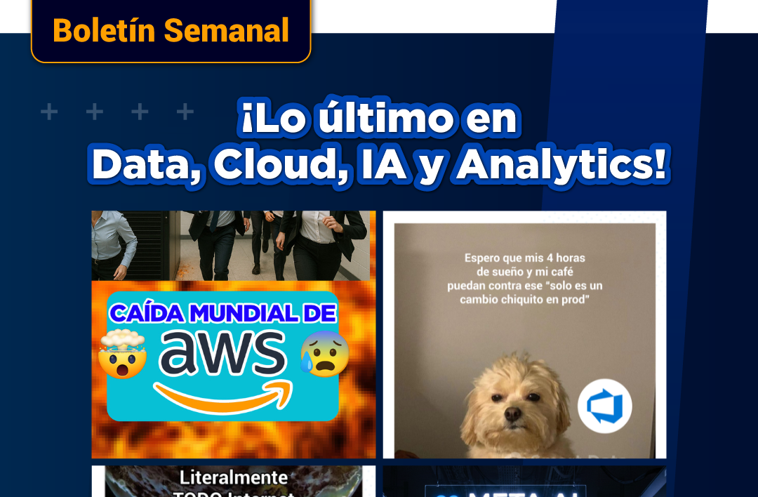 Boletín Semanal 13